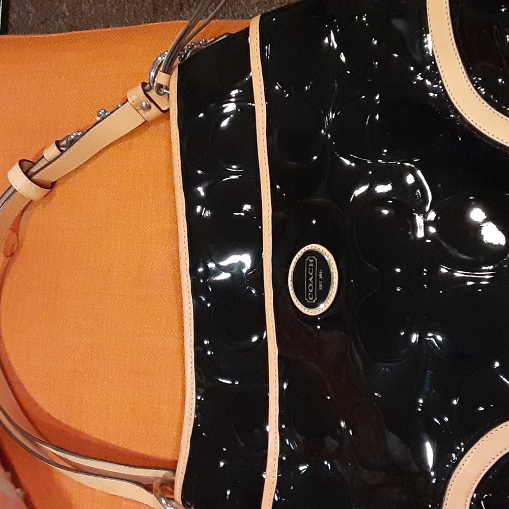 Purse/ Coach